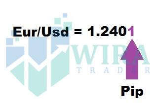 Forex apa itu pips
