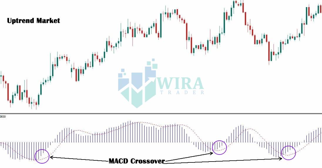 moving average convergence divergent macd forex trading
